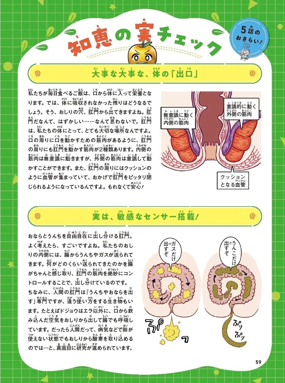 肛門の解説ページ