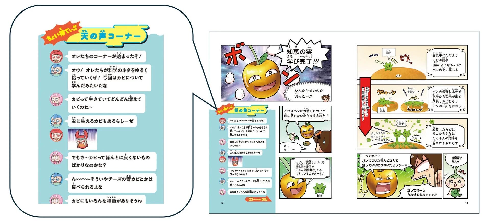 カビの天の声コーナー