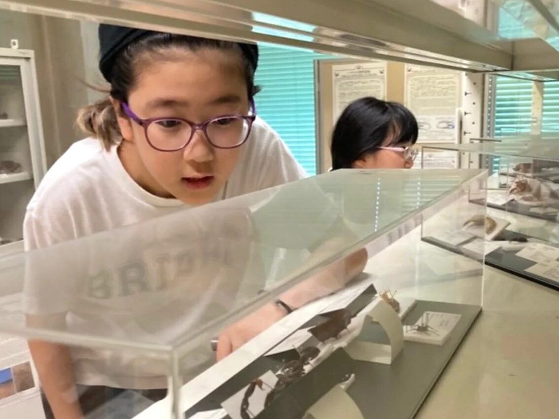 フィールドトリップの様子1