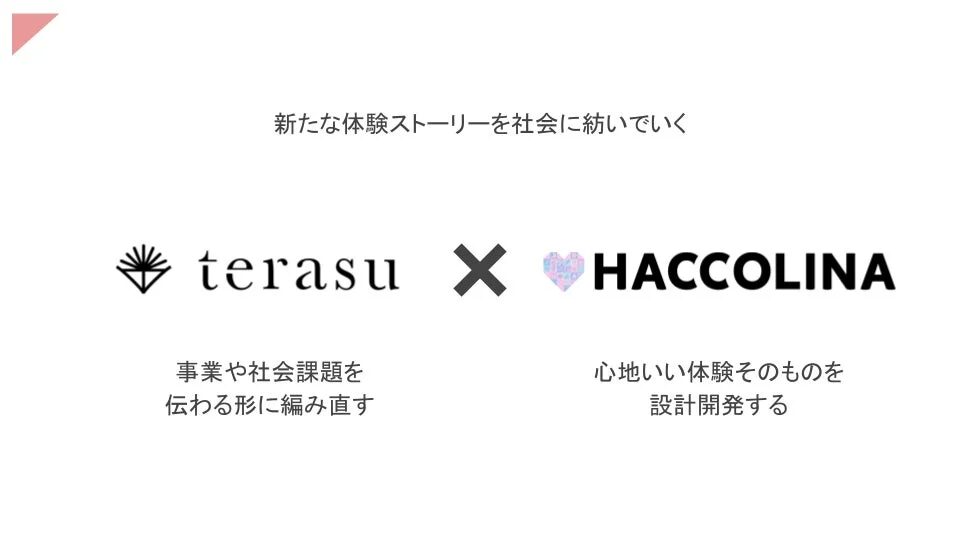 terasuとHACCOLINAのコラボレーション