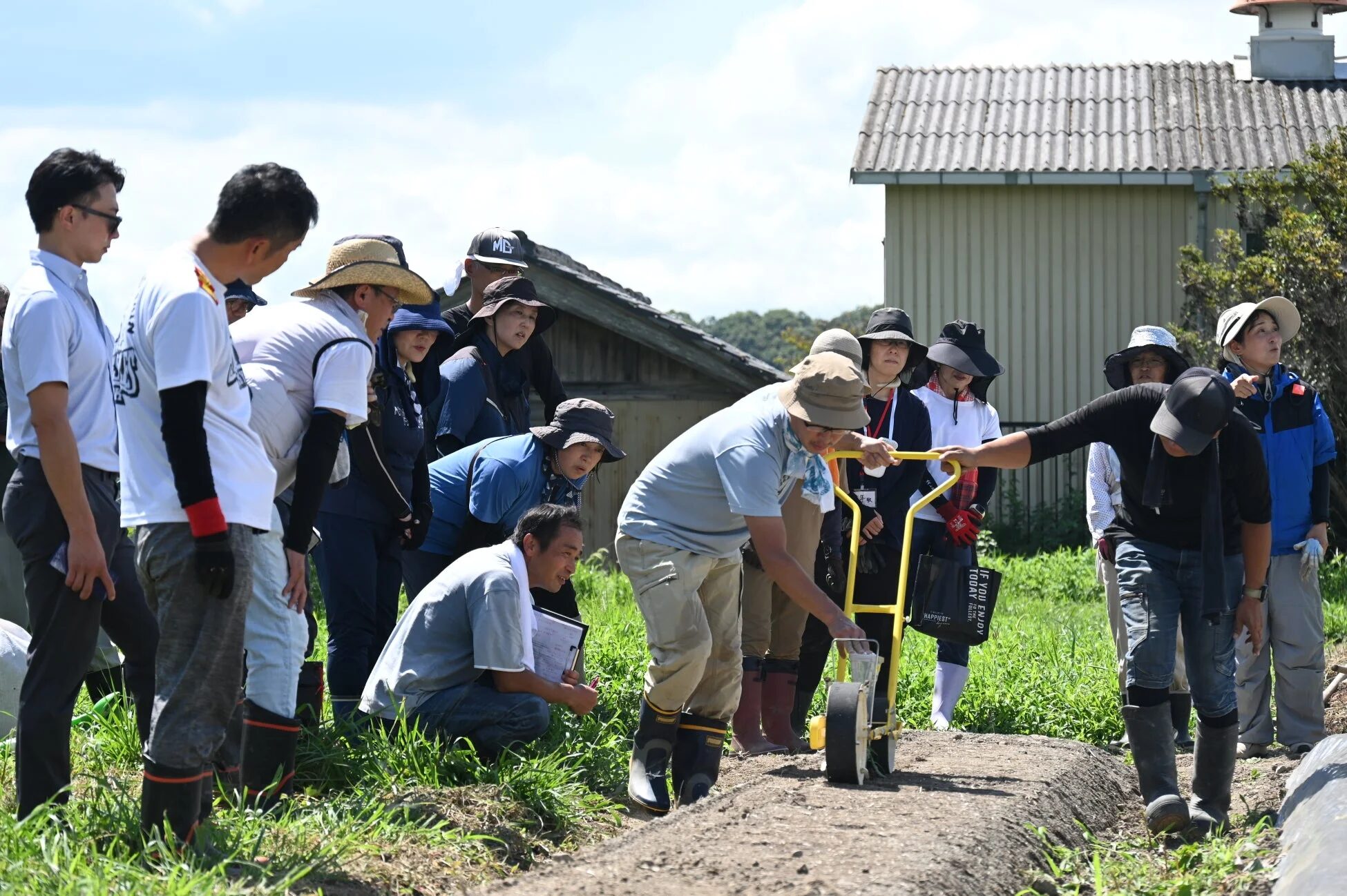 畑での農業体験