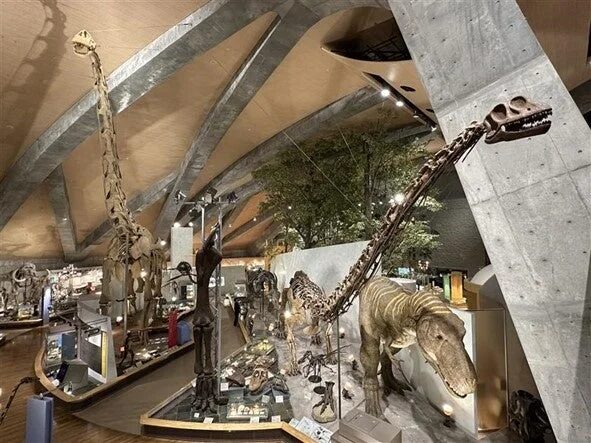 群馬県立自然史博物館の恐竜展示