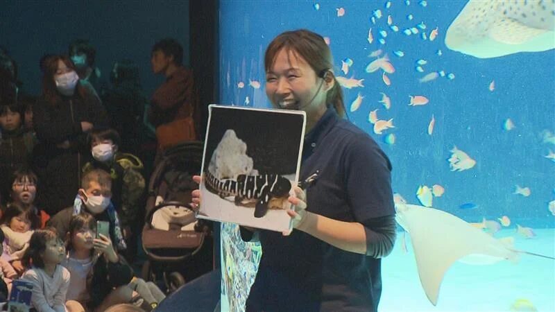 水族館でプレゼンテーションを行う女性スタッフ