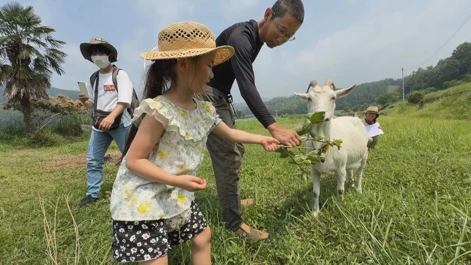 ヤギに餌をやる家族