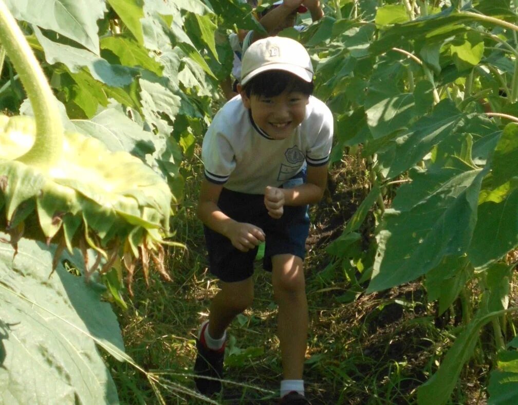 大野市上庄小学校の活動風景
