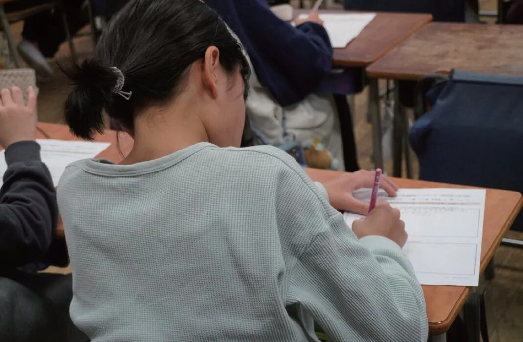 学習中の生徒の後ろ姿